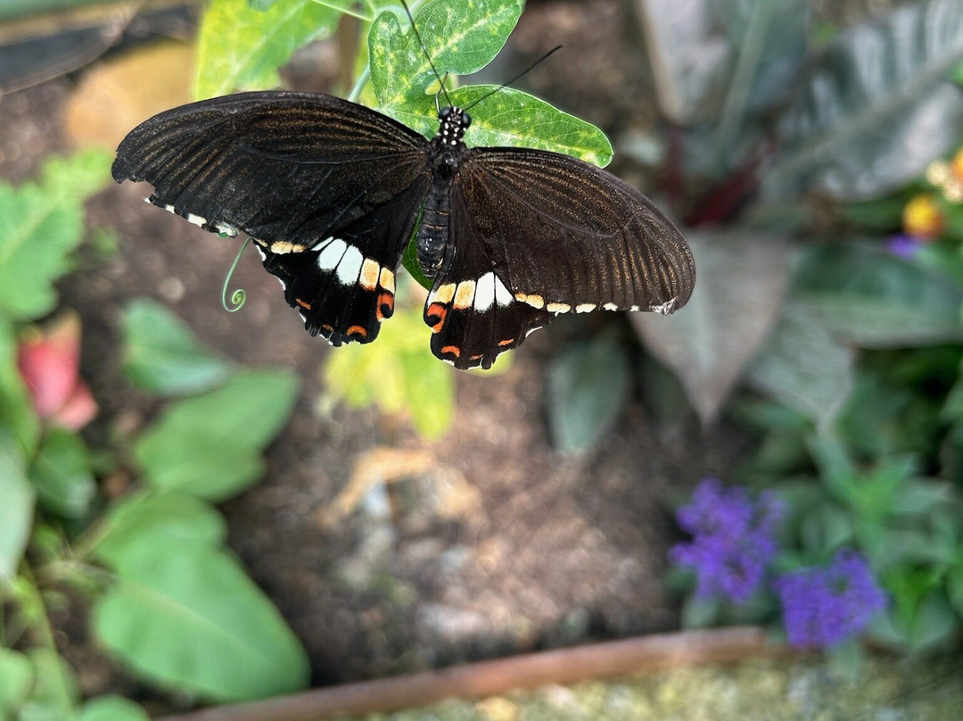 The Bug Parc-Lenwade必去景点
