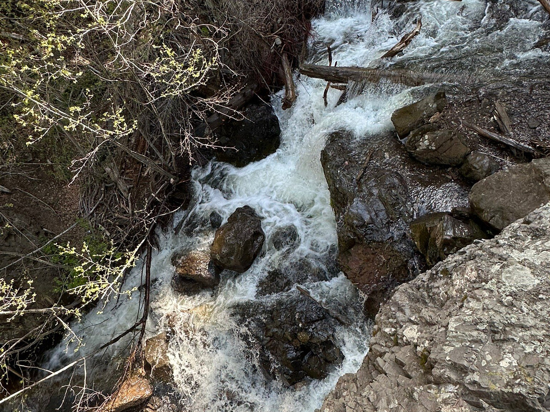 Treasure Falls-帕戈萨斯普林斯必去景点