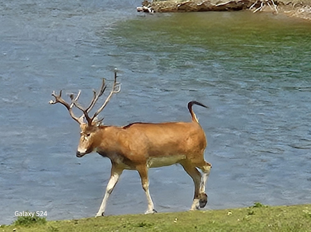 Watatunga Wildlife Reserve-金斯林必去景点