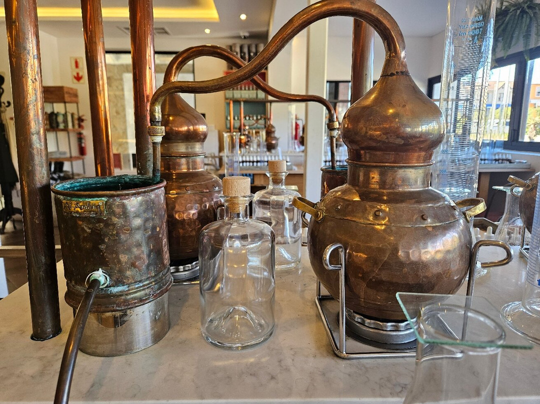 Cape Saint Blaize Distillery-莫塞尔贝必去景点