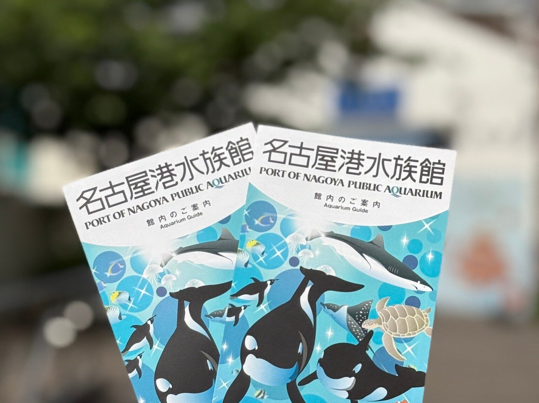 名古屋港水族馆-名古屋市必去景点