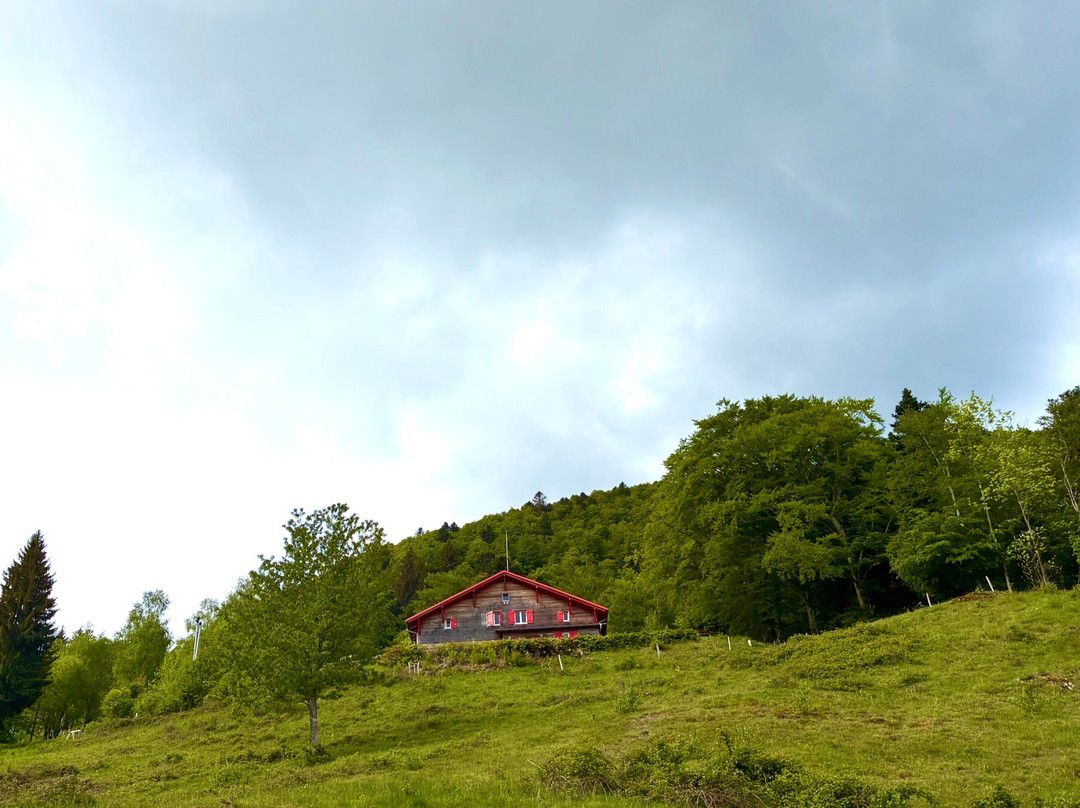 Auberge-Gite d'Etape du Gazon Vert