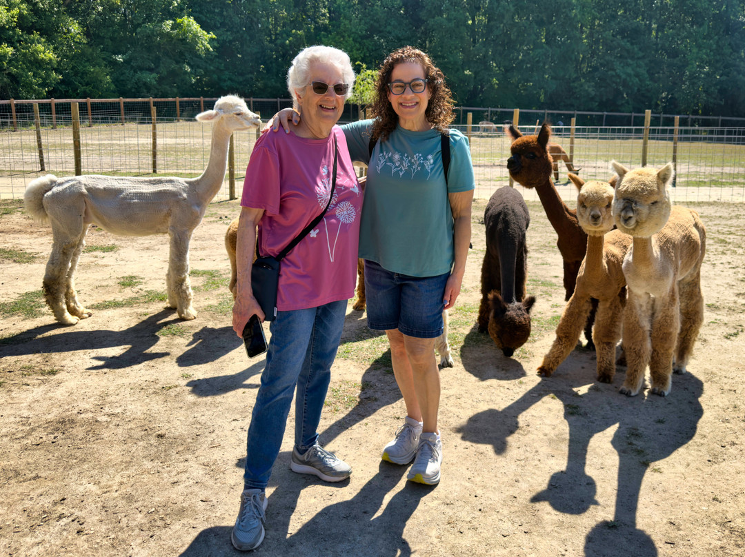 Alpacachino Ranch-Cedar Grove必去景点