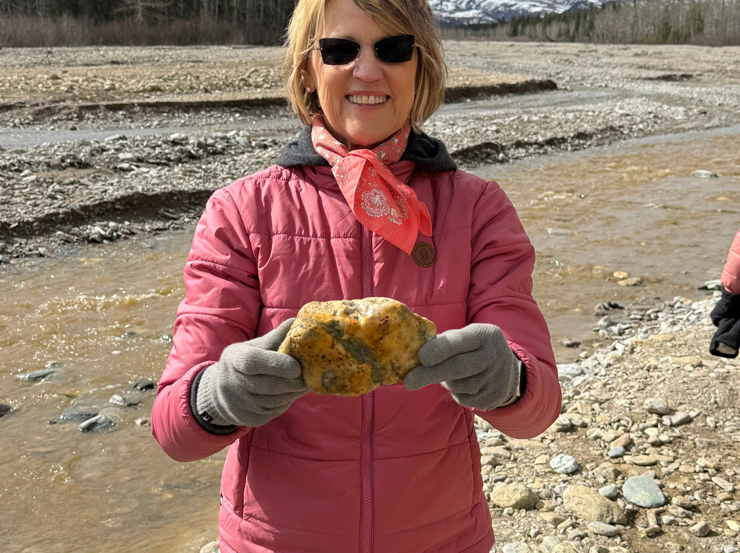 Denali Fat Truck Tours LLC-希利必去景点