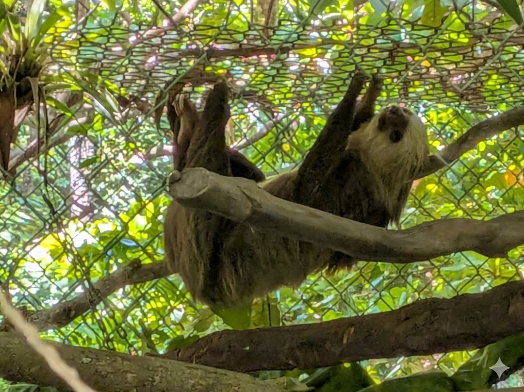 Natuwa Wildlife Santuary-彭塔雷纳斯必去景点