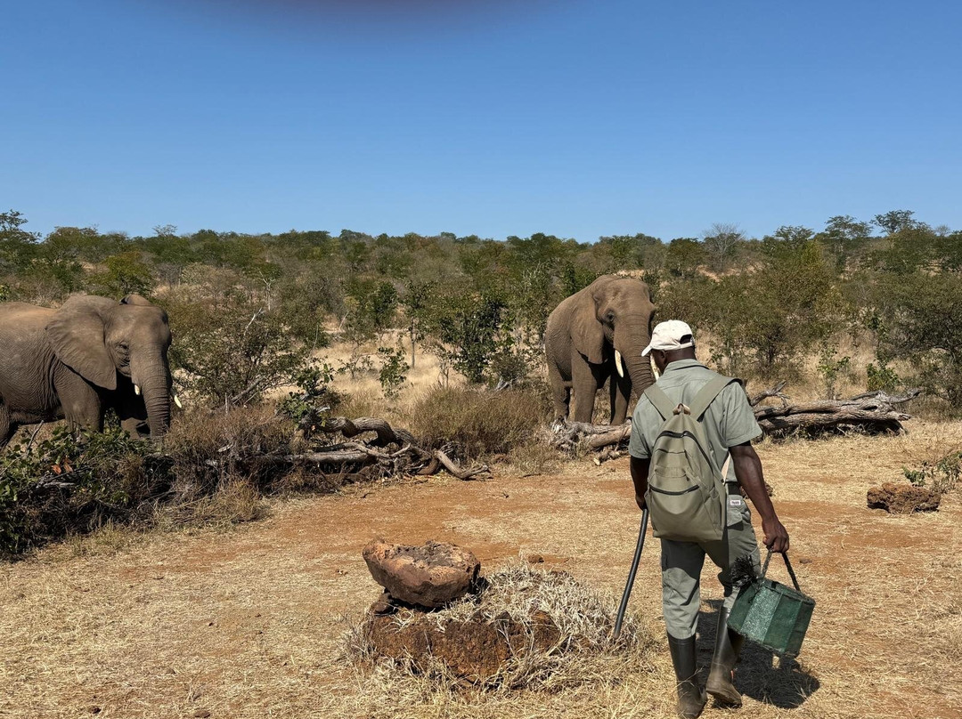 Wild Horizons Elephant Sanctuary-维多利亚瀑布必去景点