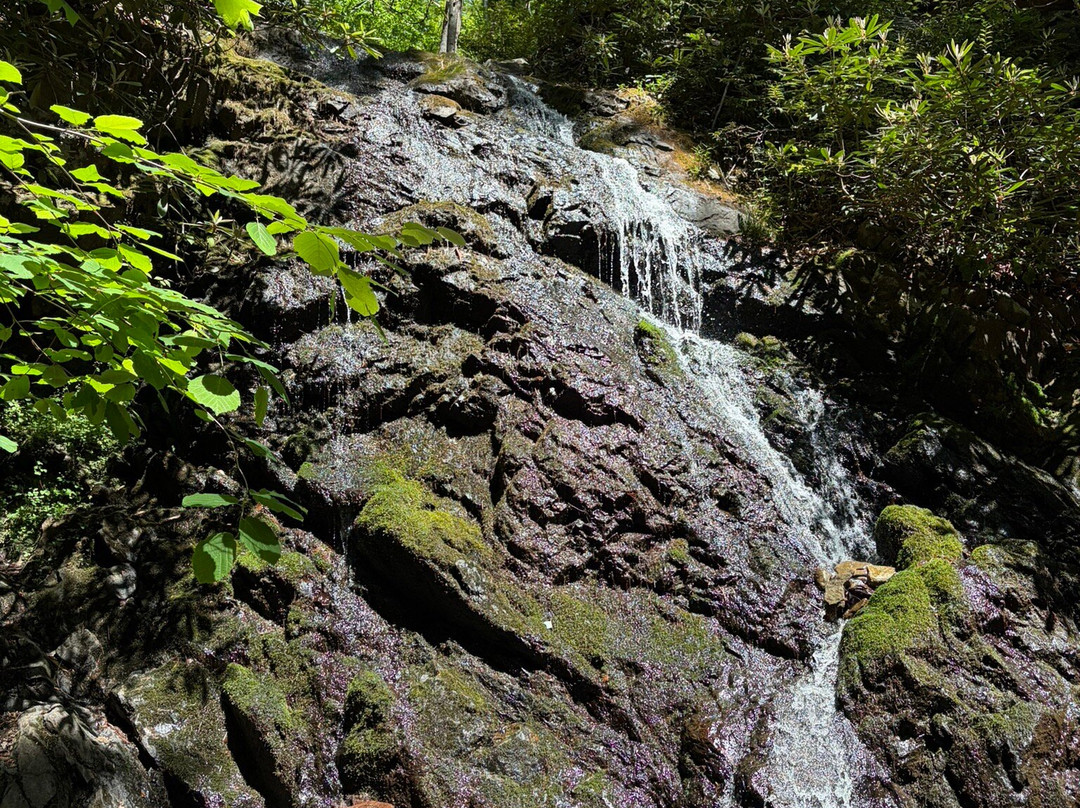 Great Smoky Mountains National Park-盖林柏格必去景点