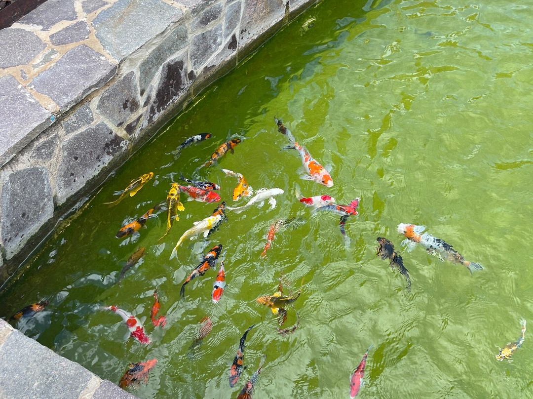 Chinese Garden of Serenity-Santa Lucija必去景点