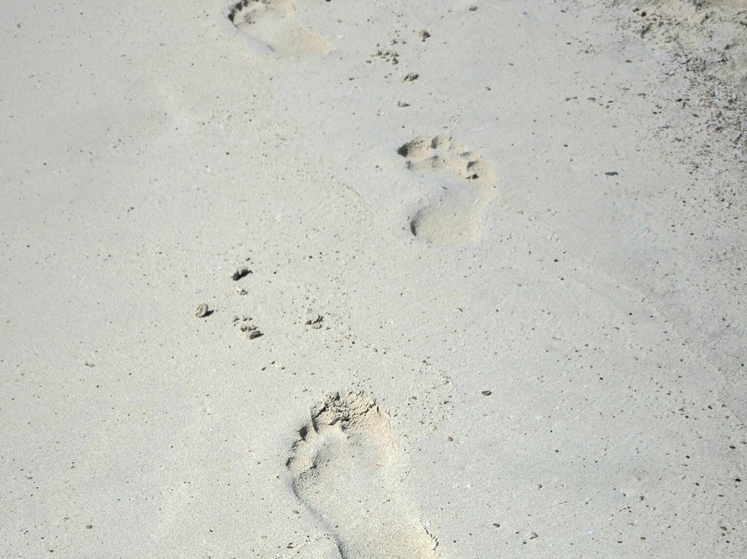 Makronissos Beach-阿依纳帕必去景点