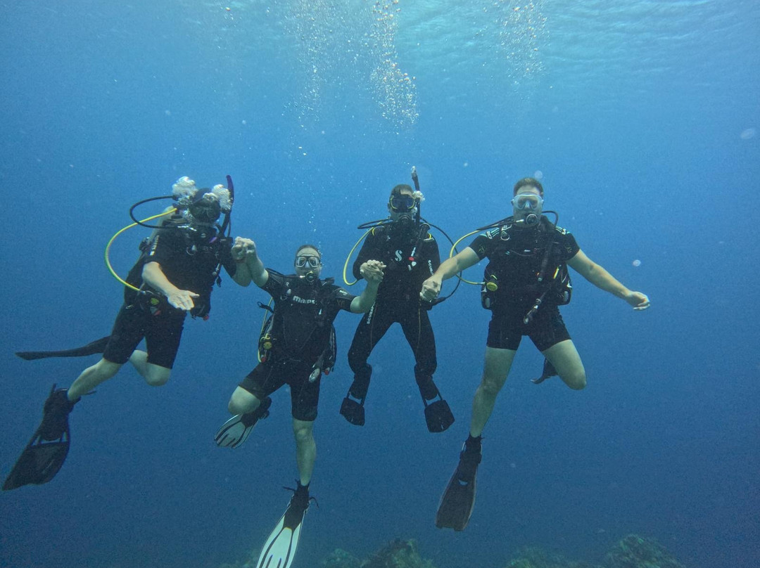 Sublime Diving Curacao-威廉斯塔德必去景点