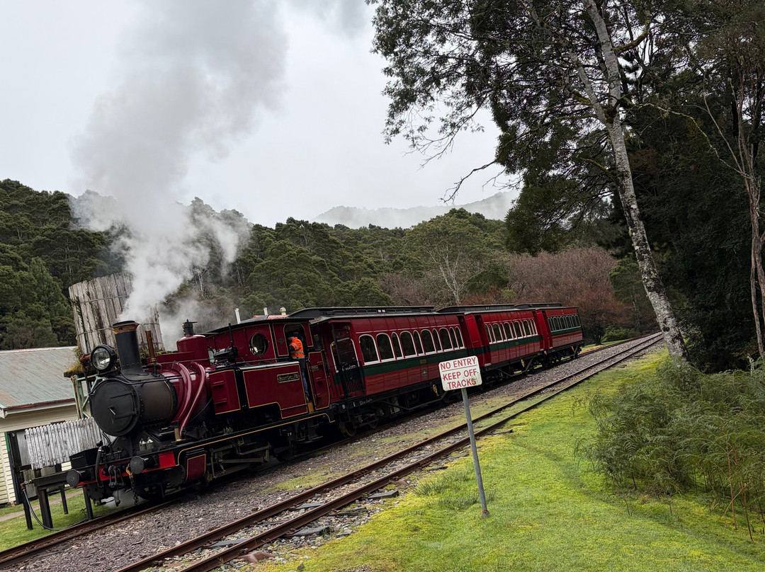 West Coast Wilderness Railway-皇后镇必去景点