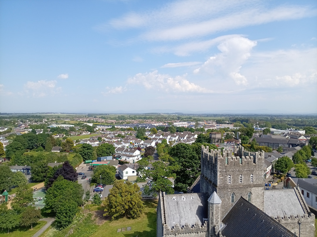 Saint Brigid's Cathedral and Round Tower-基尔代尔必去景点