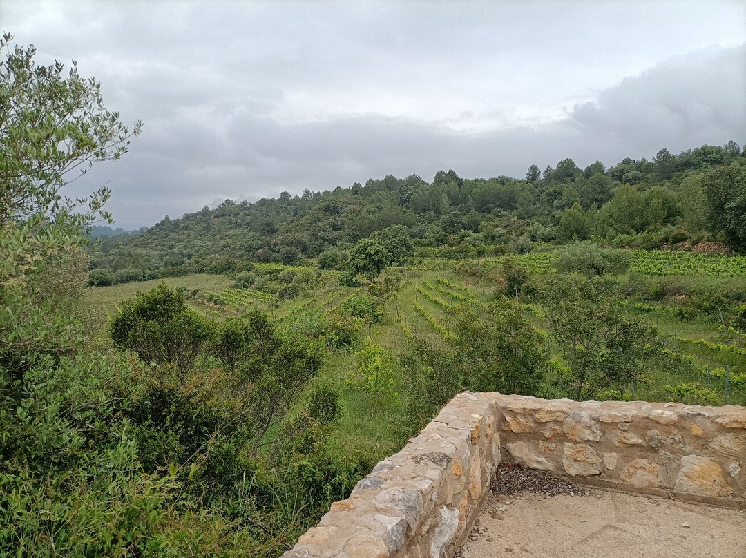 Bodegues Besalduch Valls & Bellmunt-Sant Mateu必去景点