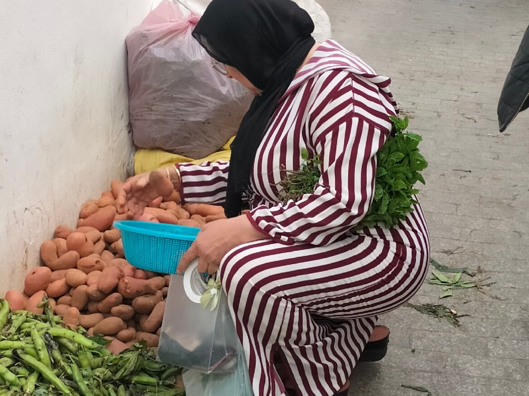 Marocco Tours-马拉喀什必去景点