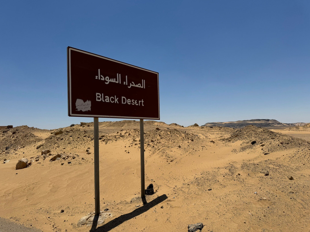 Egypt Camp White Desert-Bawiti必去景点