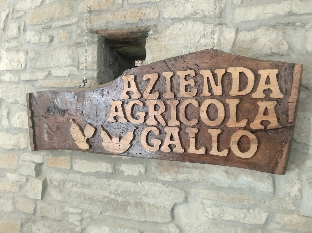 Azienda Agricola Gallo