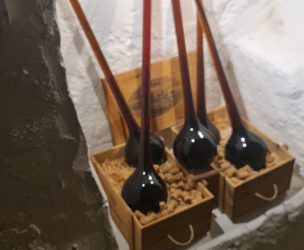 Castello Rametz - Wine Museum-梅拉诺必去景点