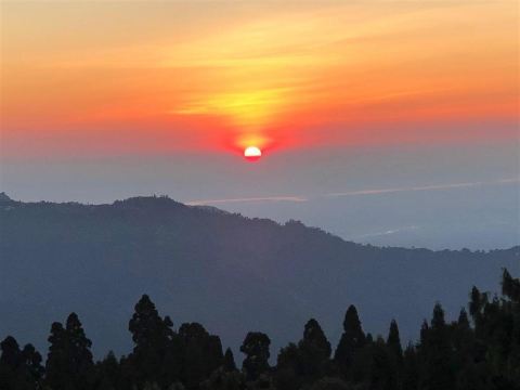 阿迈拉度假村和农场 - 米里克，西孟加拉邦-旅行者