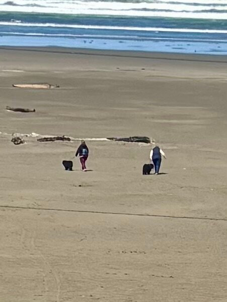 锡赛德沙滩海滨旅馆主图