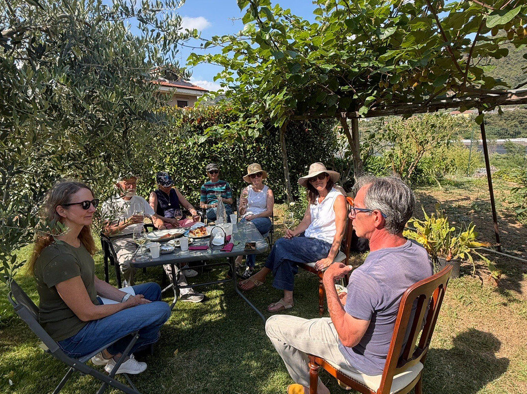 Foresti Wine - Azienda Agricola Foresti Marco-Camporosso必去景点