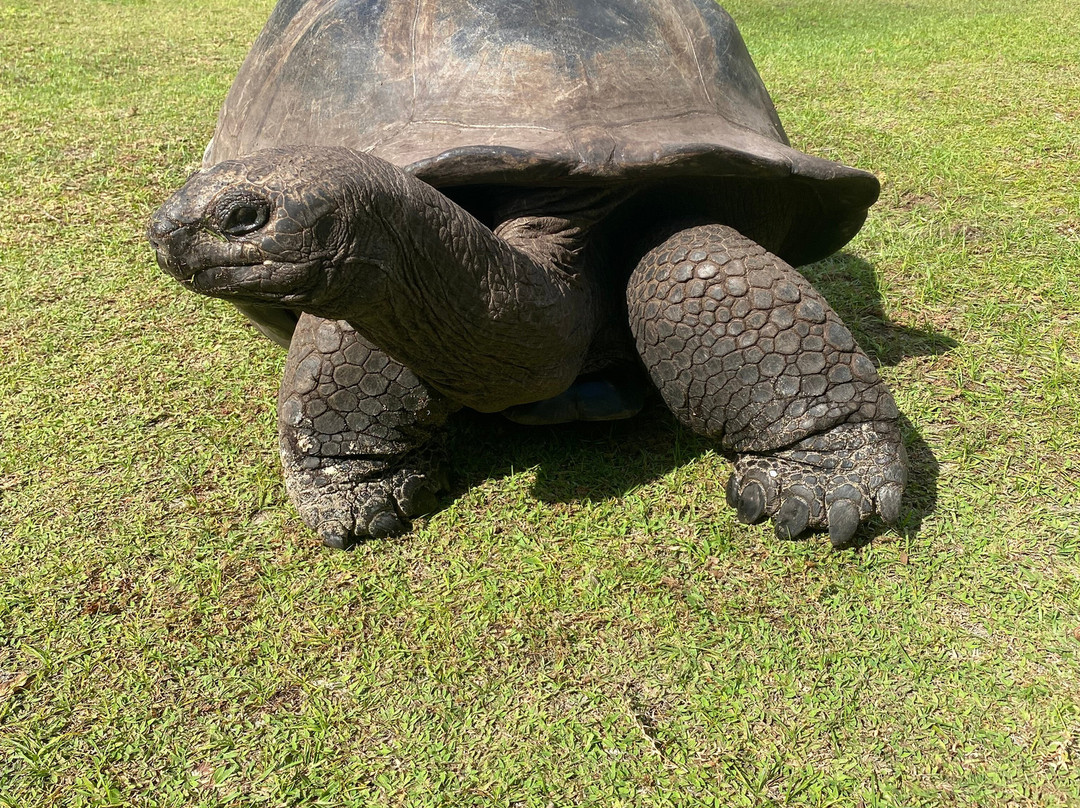 Gondwana Tours & Safaris-马翁必去景点