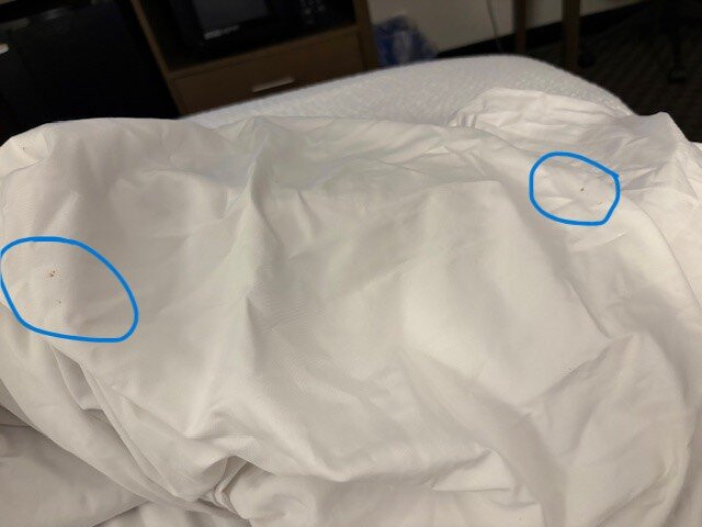 巴尔的摩北怀特马什拉昆塔温德姆套房酒店主图