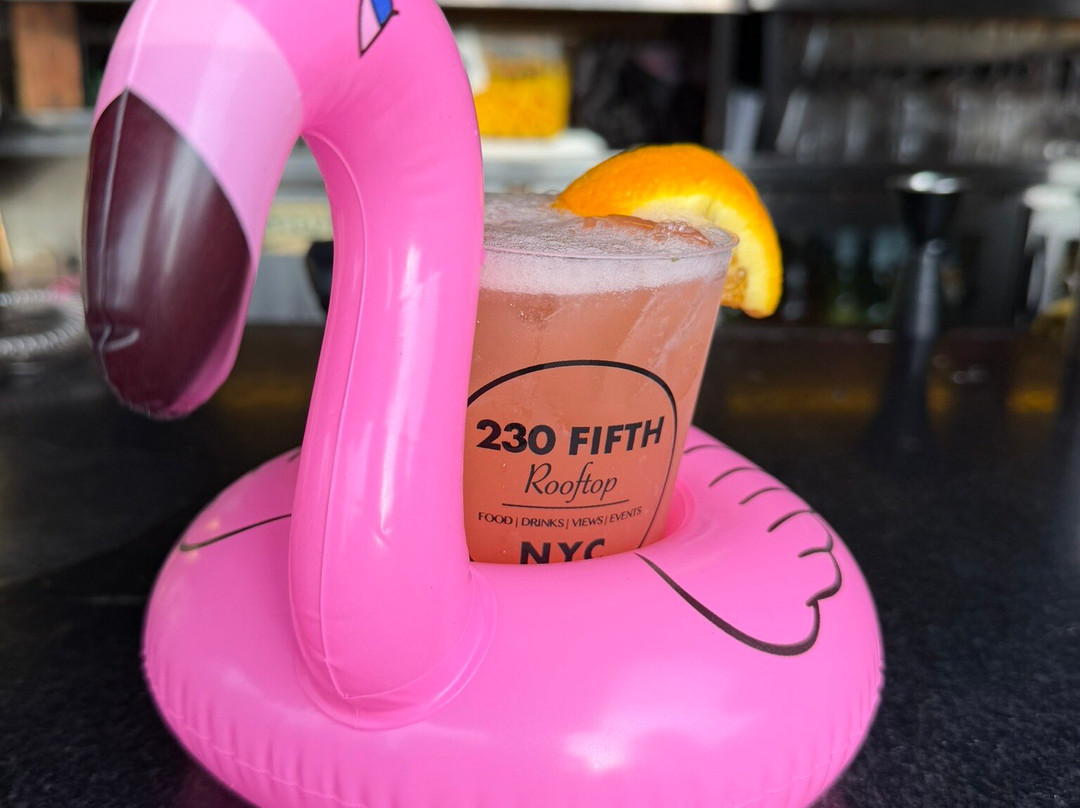 230 FIFTH ROOFTOP BAR NYC-纽约市必去景点