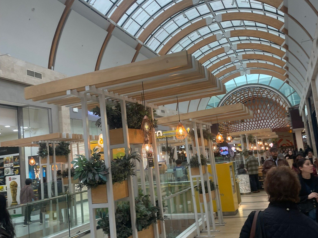 Mall Plaza Trebol-康塞普西翁必去景点