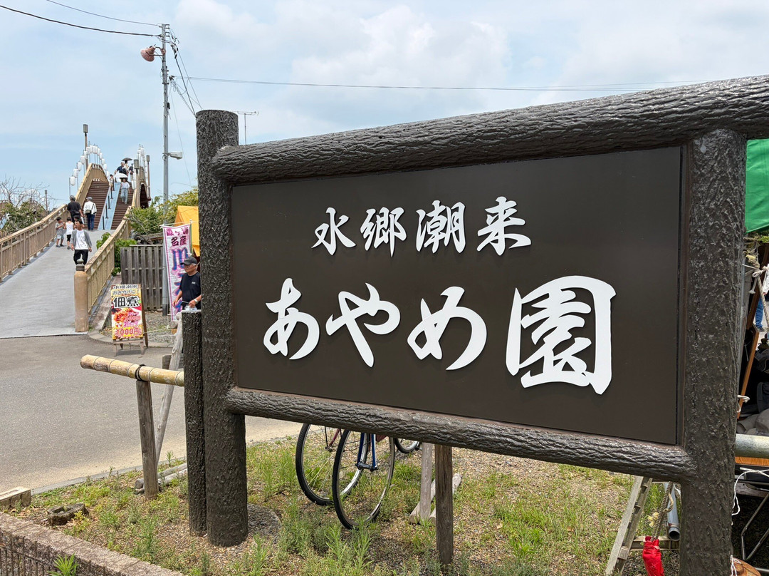 Suigo Itako Ayame Garden-潮来市必去景点