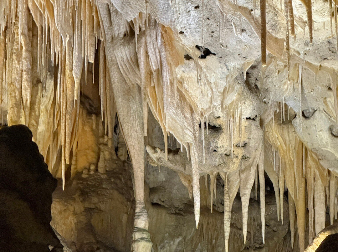 Carlsbad Caverns National Park Visitor Center-卡尔斯巴德洞穴国家公园必去景点