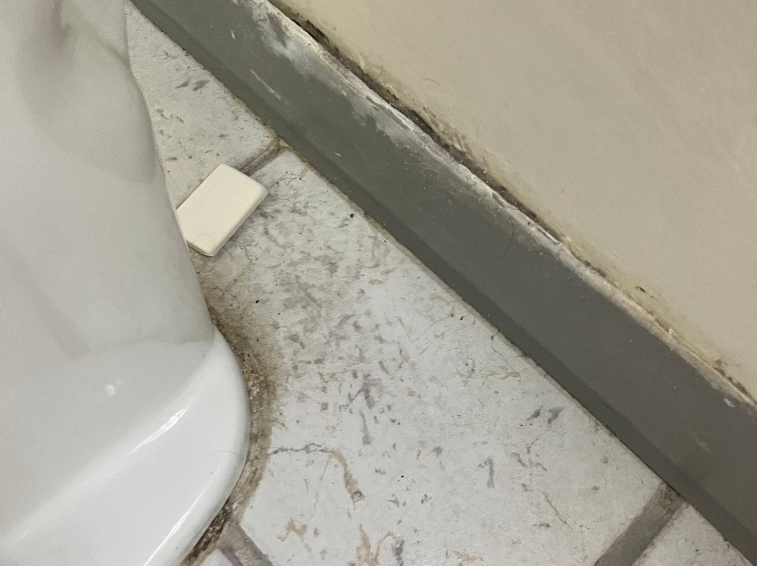 康科迪亚速8酒店主图