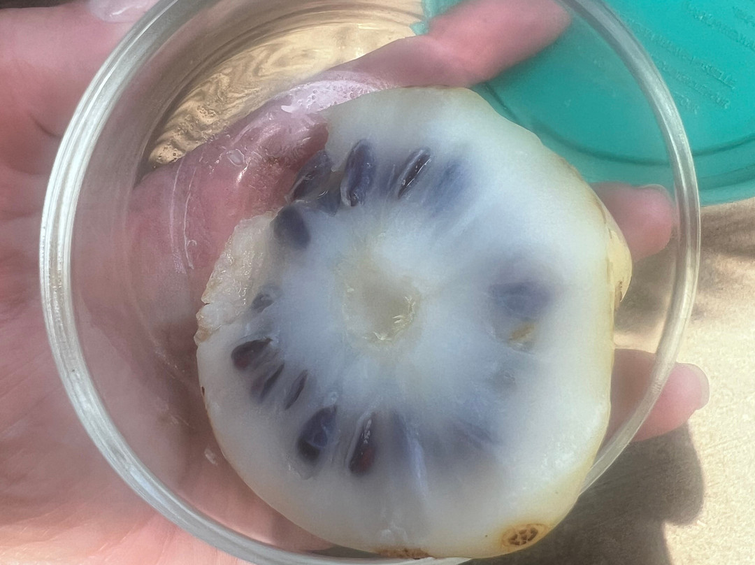Hawaiian Organic Noni-基拉韦厄必去景点