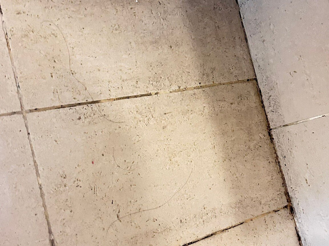 新山阿美林酒店主图