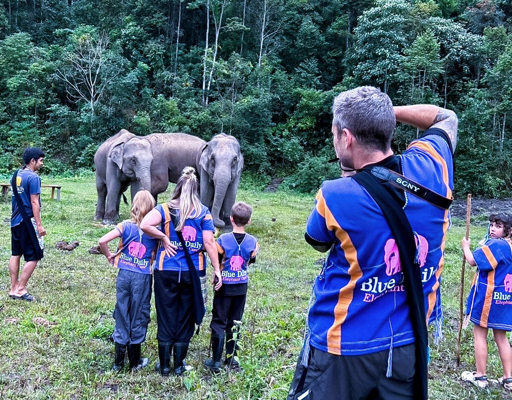 Blue Daily Elephant Care Sanctuary-清迈必去景点