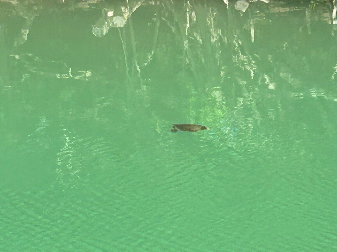 Lake Kournas-Kournas必去景点