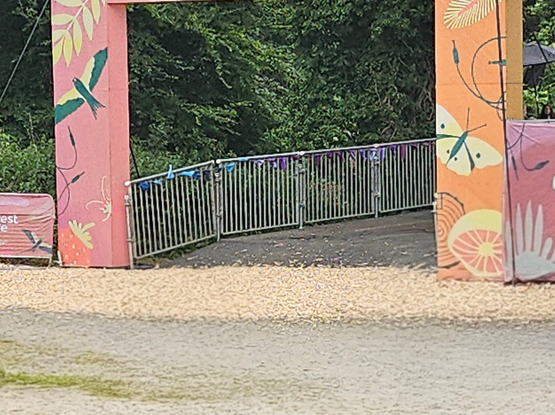 Delamere Forest Park-Delamere必去景点