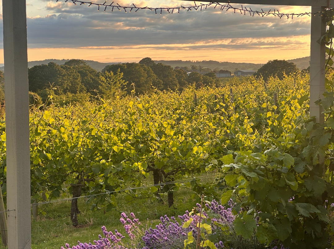 Coddington Vineyard-Ledbury必去景点