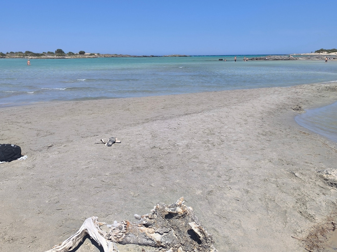 Elafonissi Beach-拉格尼西必去景点