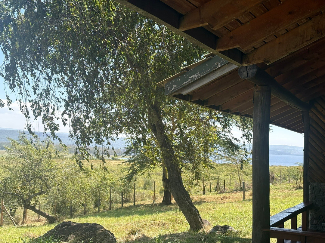 纳库鲁湖山林小屋主图