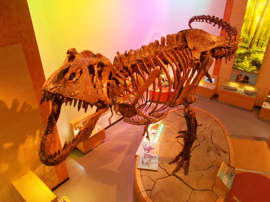 Royal Saskatchewan Museum-里贾纳必去景点