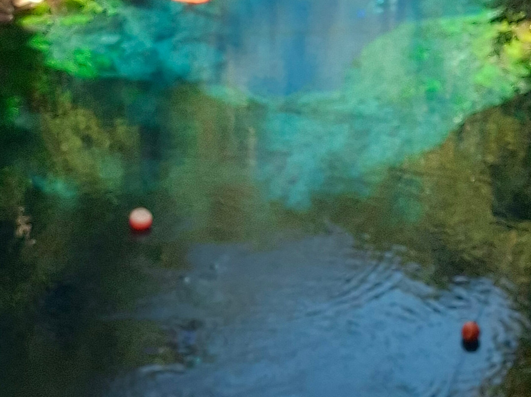 Lagoa Misteriosa-雅尔丁必去景点