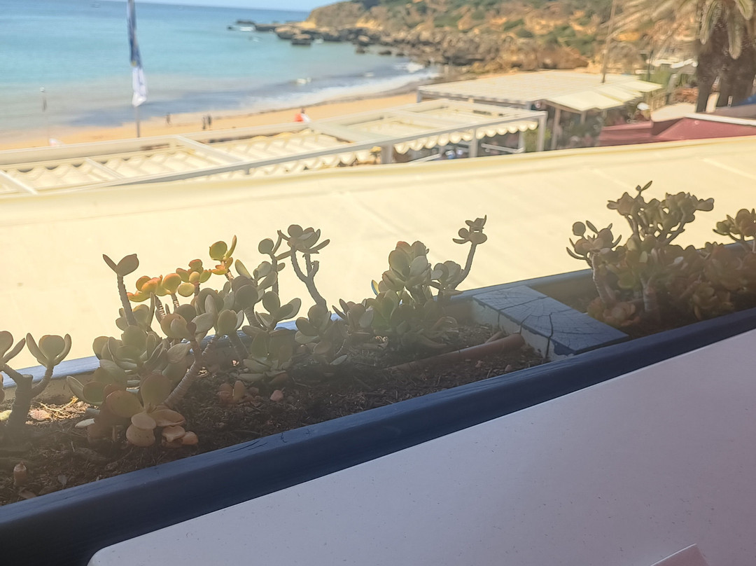 Praia Da Oura-阿尔布赞拉必去景点