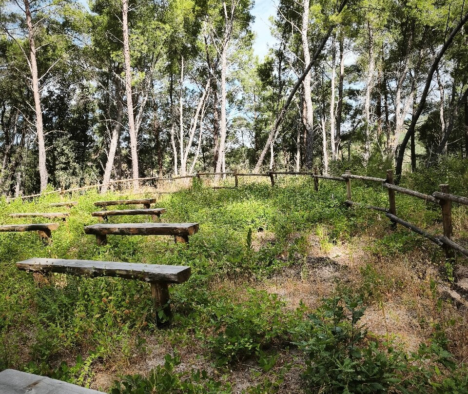 Riserva Naturale Regionale delle Valli Cupe-Sersale必去景点