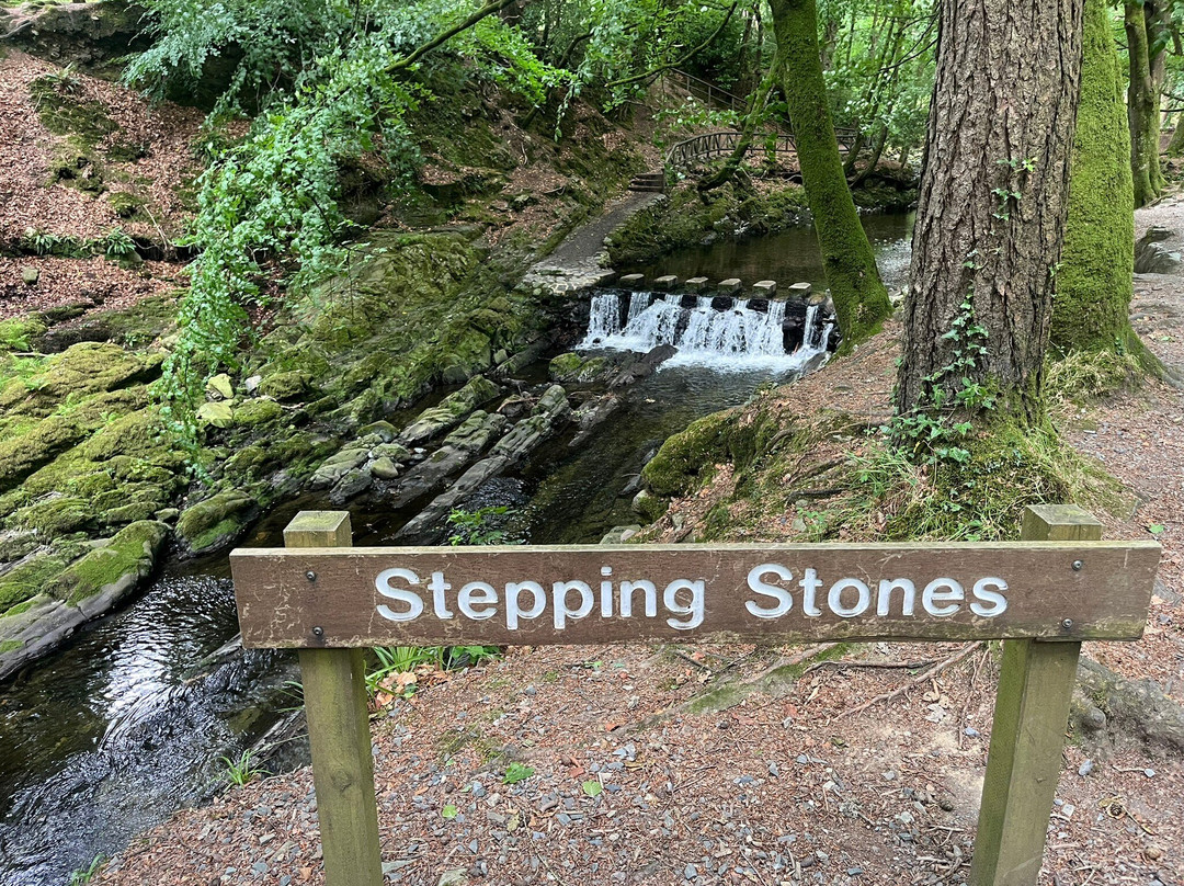 Tollymore Forest Park-纽卡斯尔必去景点