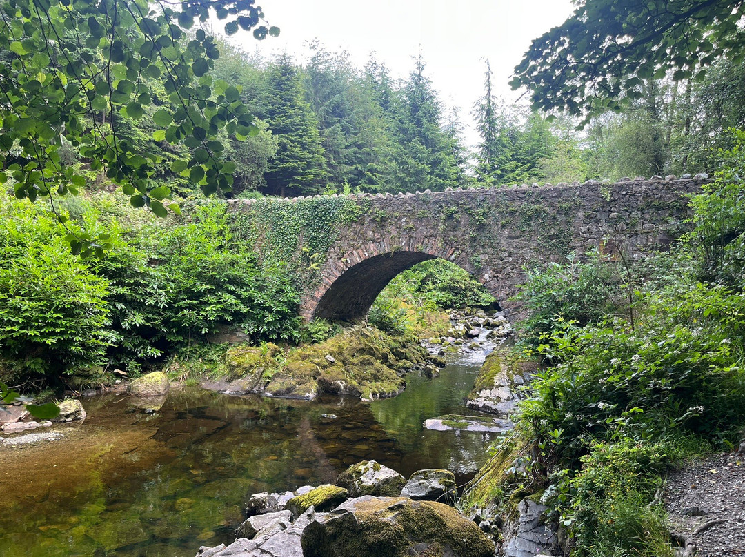 Tollymore Forest Park-纽卡斯尔必去景点