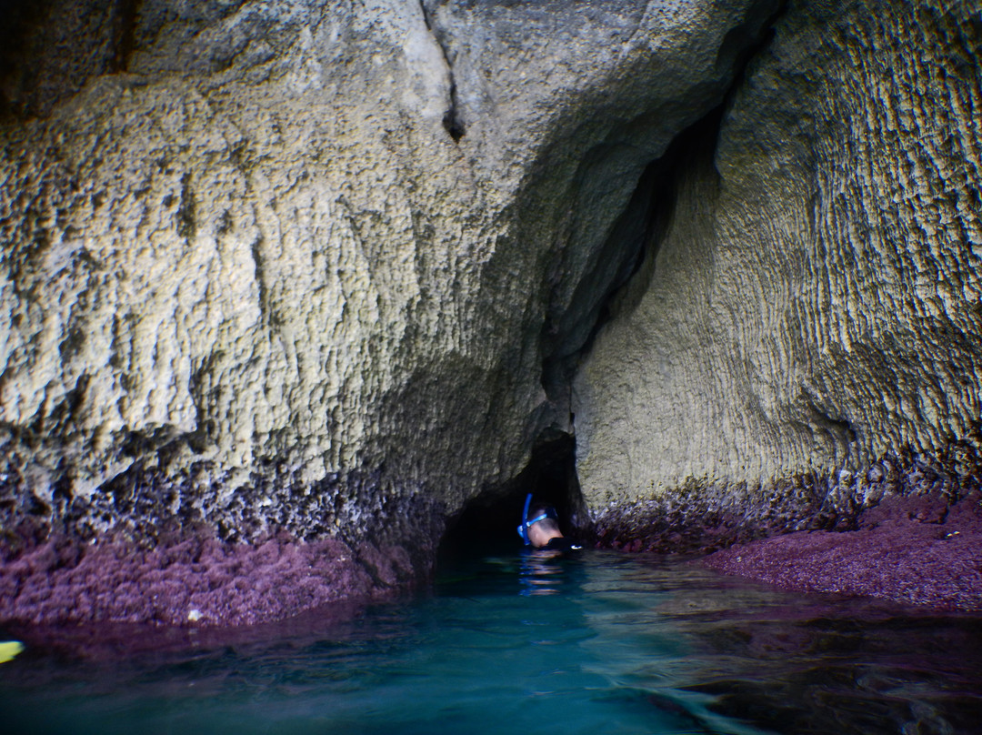 Blue Islands Diving-米诺卡必去景点