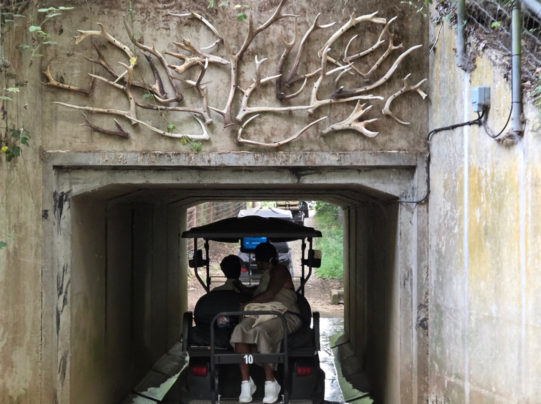 Watatunga Wildlife Reserve-金斯林必去景点