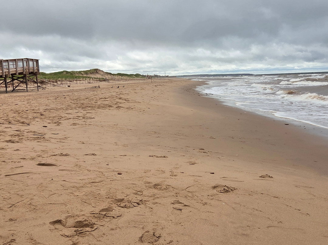 Cavendish Dunelands Trail-卡文迪西必去景点