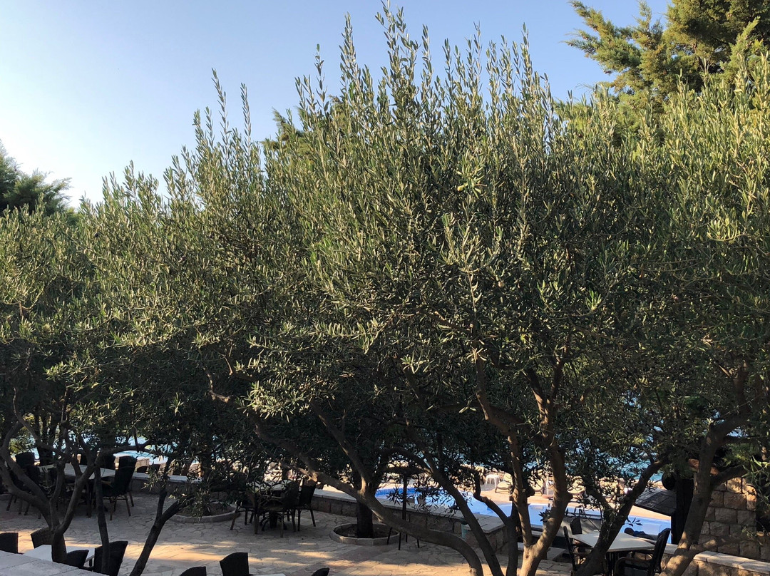 Radisson Resort Ruza Vjetrova主图