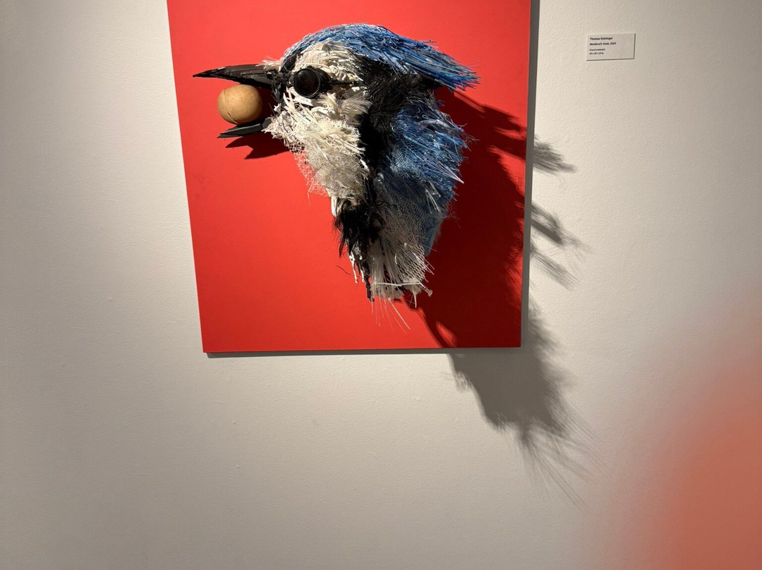 New Bedford Art Museum-新贝德福德必去景点